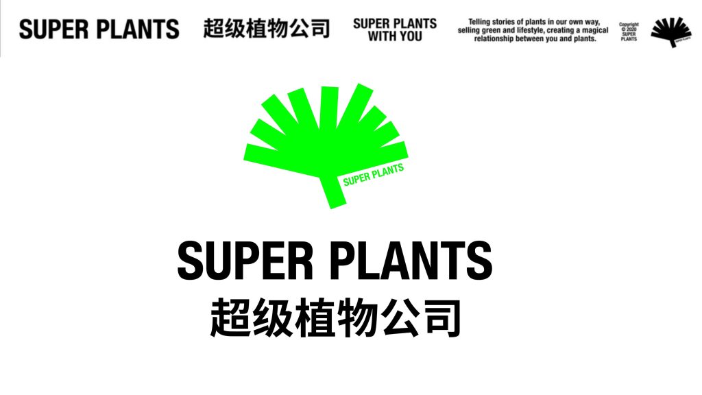 超级植物公司品牌手册-9PPT