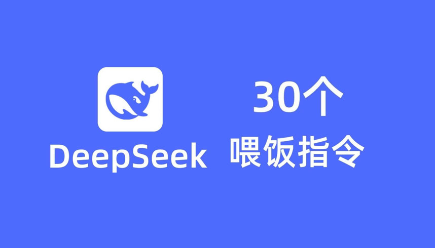 DeepSeek30个喂饭指令-9PPT